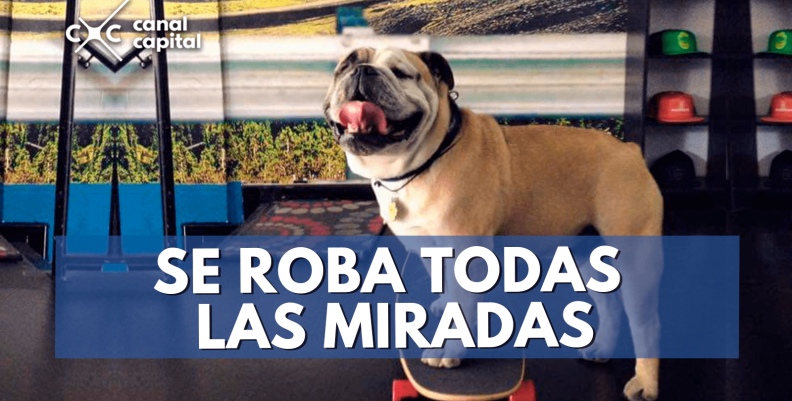 miradas-min miradas-min