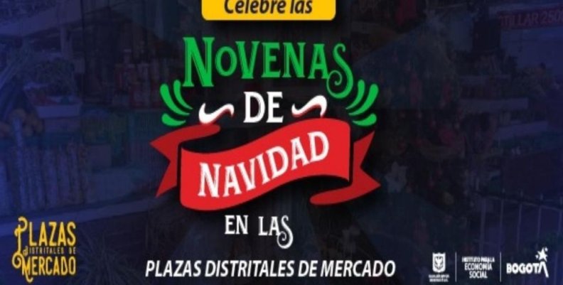 navidad luces jardin navidad luces jardin