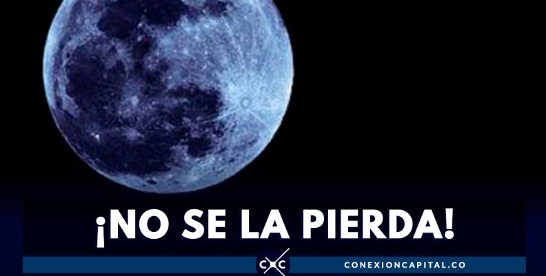 ¡NO-SE-LA-PIERDA! ¡NO-SE-LA-PIERDA!