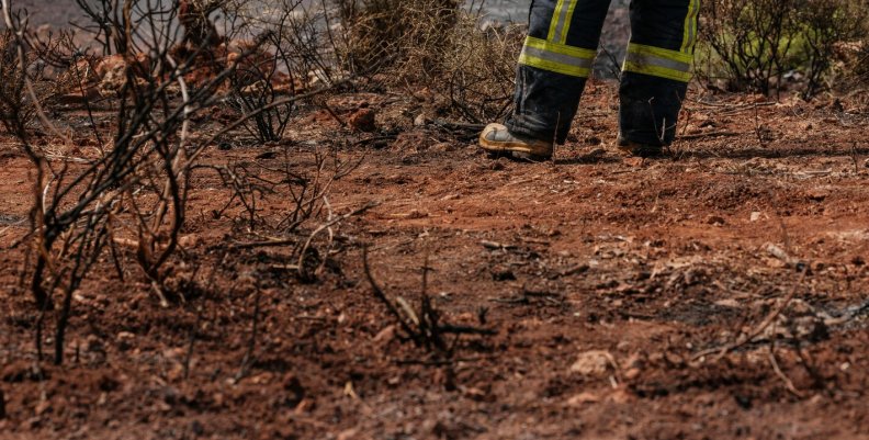 incendios forestales en Bogotá incendios forestales en Bogotá