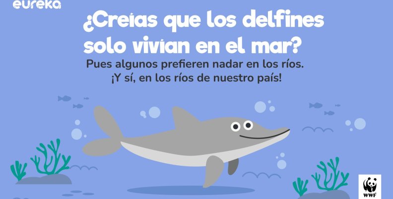 Delfines de río en Colombia Delfines de río en Colombia