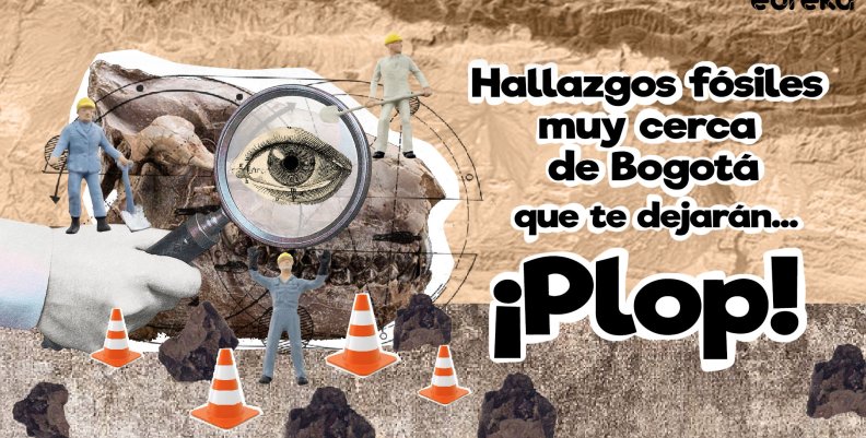Fósiles