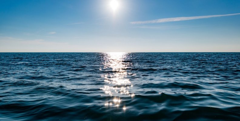 Día Mundial de los Océanos - Aquae