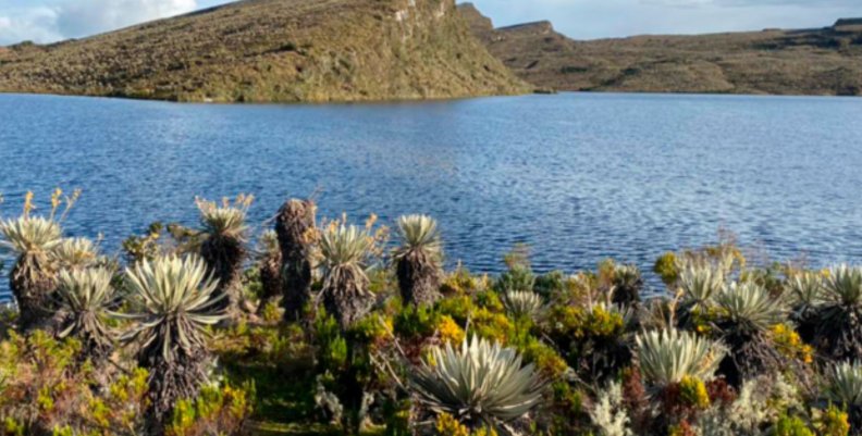 Sumapaz Laguna rodeada de frailejones y montañas