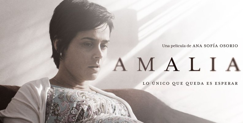 Amalia Una mujer mirando fijamente un punto (expresión preocupada), delante de una pared blanca.