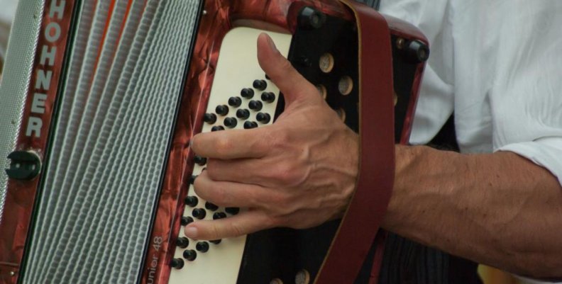 Vallenato al Parque Un brazo sosteniendo un acordeón café