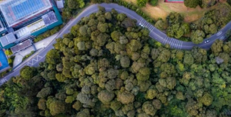 Naturaleza Vista aérea de ambiente natural en Bogotá
