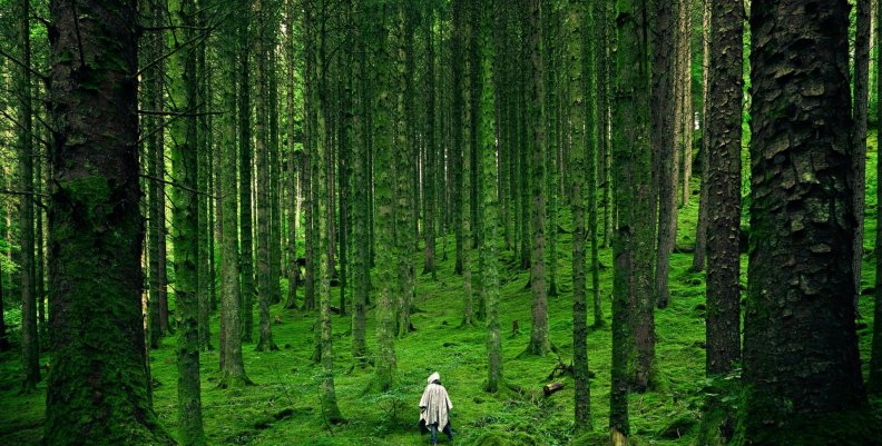 Naturaleza