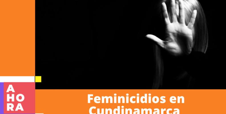 Feminicidios en Cundinamarca 