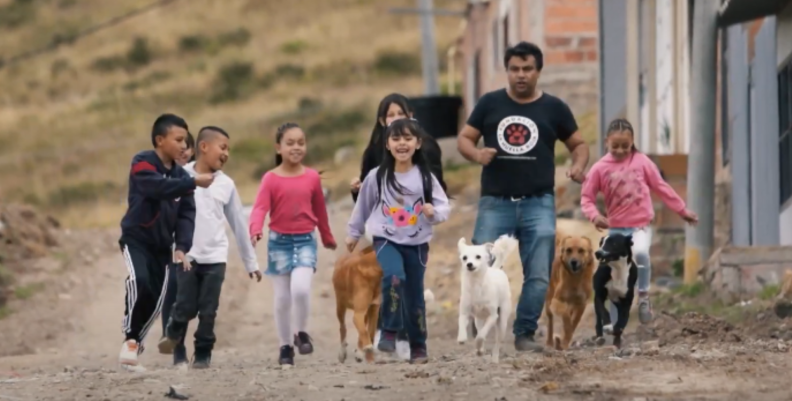 Fundación Amigos de 4 Patas Fundación Amigos de 4 Patas
