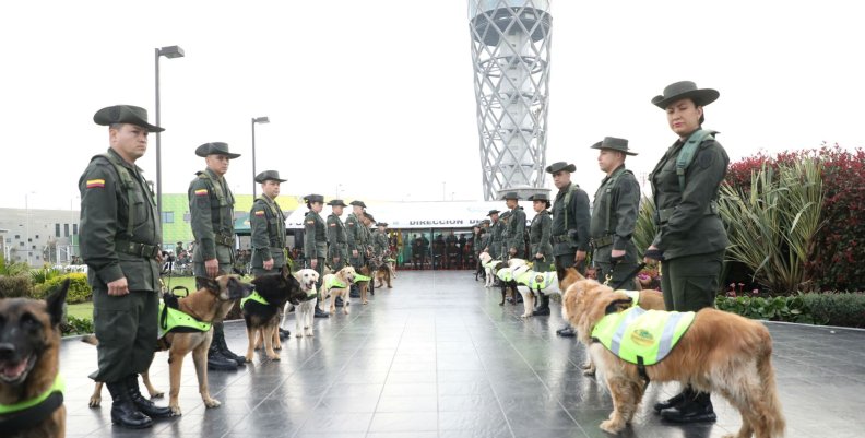 Policía Canina del Aeropuerto El Dorado Formación de la Policía Canina del Aeropuerto El Dorado.