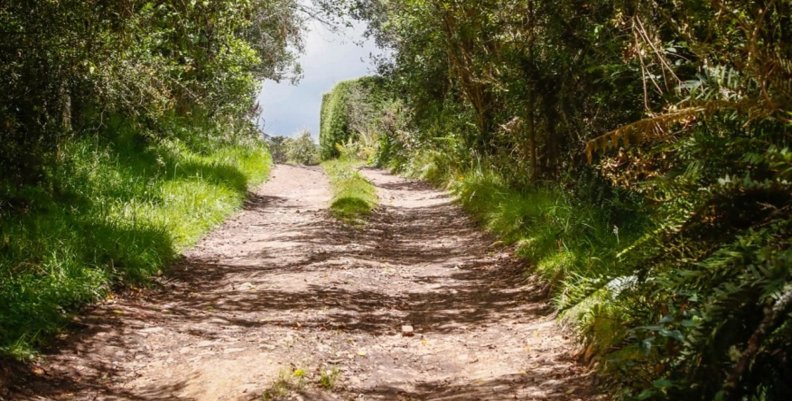Por el cuidado del medio ambiente: a través de las artes concientizan a pobladores del Verjón Vereda el Verjón