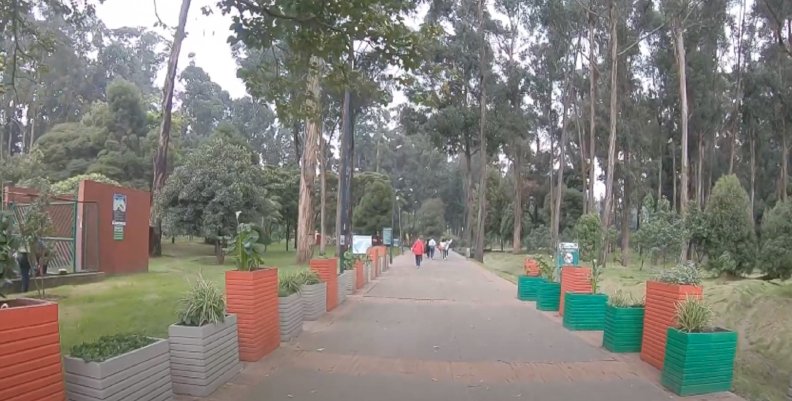 Bosque San Carlos en la localidad de Rafael Uribe Uribe Bosque San Carlos