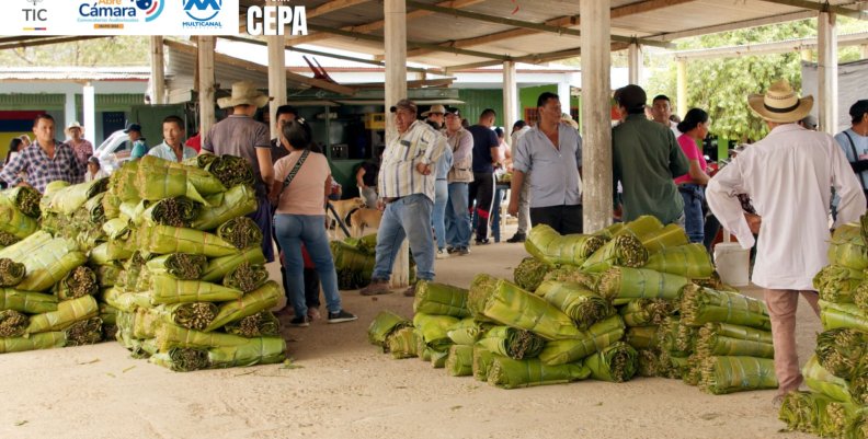 De pura cepa - Canal Capital
