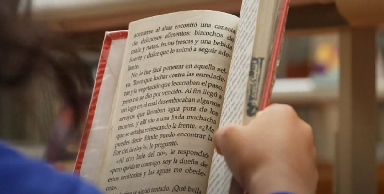 libros sobre vampiros libros sobre vampiros