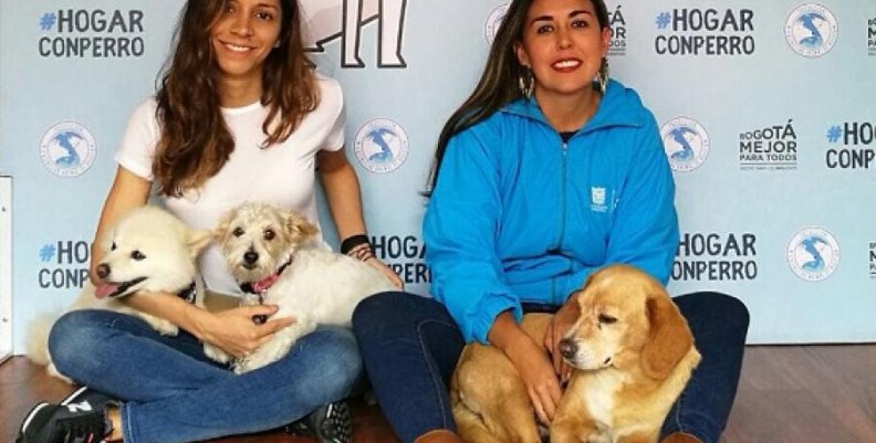 nota animales (1) ppl nota animales (1) ppl