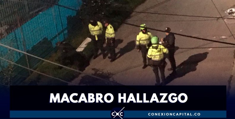 Hallan partes de un cuerpo desmembrado dentro de bolsas de basura Hallan partes de un cuerpo desmembrado dentro de bolsas de basura