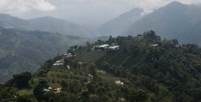 paramo