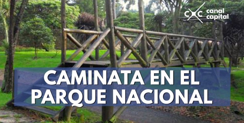 parquenacional-min parquenacional-min
