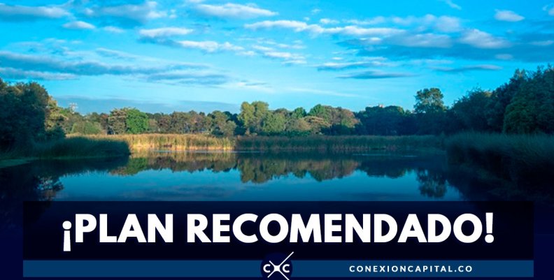 ¡PLAN-RECOMENDADO! ¡PLAN-RECOMENDADO!