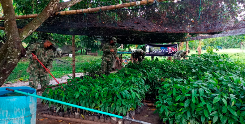 PLANTAS EJÉRCITO