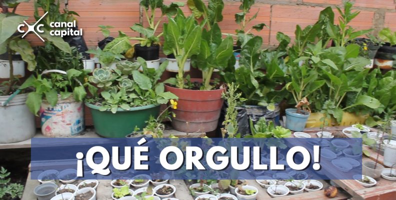 el-regalo-barrio-limpio el-regalo-barrio-limpio