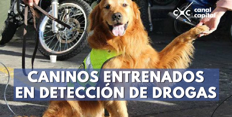 plantilla noticias-3 (13) plantilla noticias-3 (13)