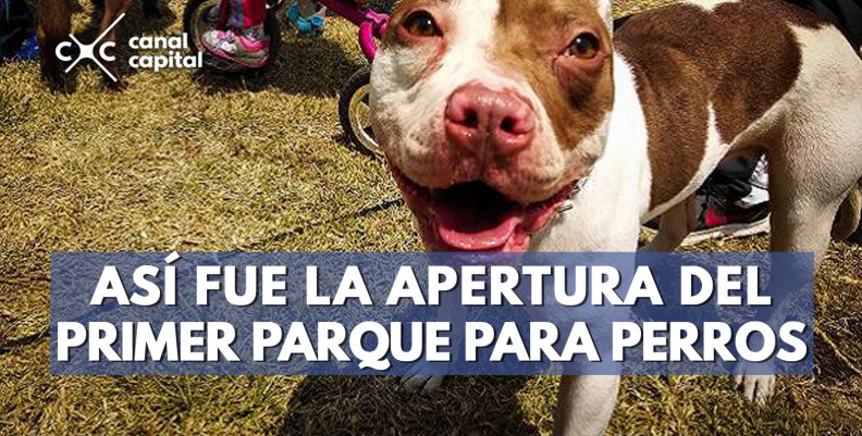 plantilla noticias-3 (32) plantilla noticias-3 (32)