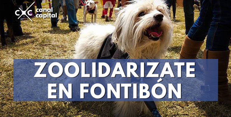 Brigada de salud animal en Fontibón Brigada de salud animal en Fontibón