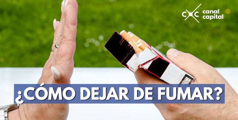 plantilla noticias-3 plantilla noticias-3