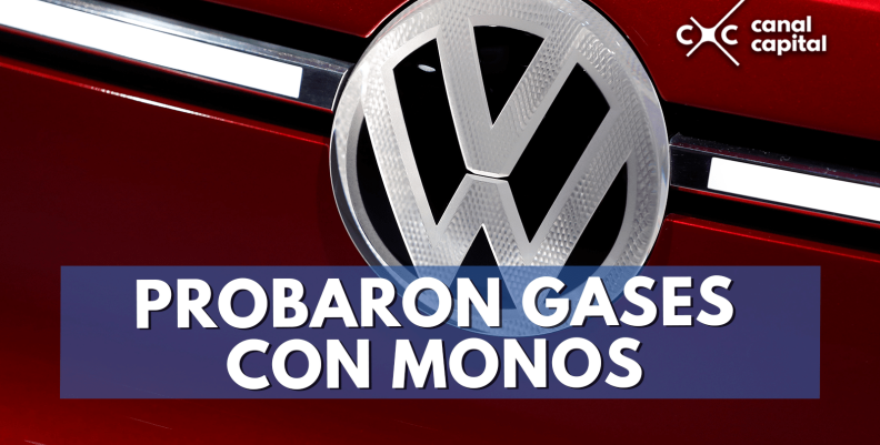 probaron-gases-min probaron-gases-min