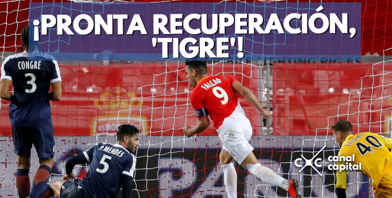Falcao Falcao