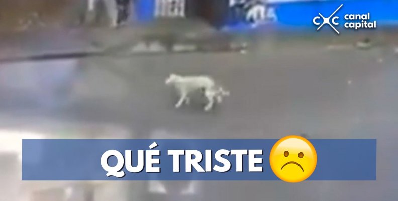 QUÉ-TRISTE QUÉ-TRISTE