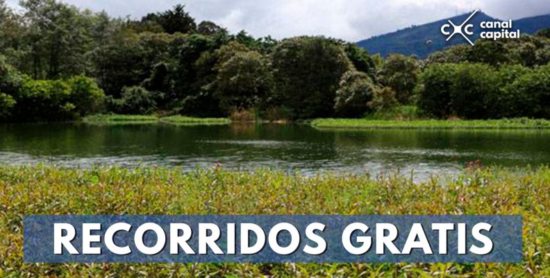 RECORRIDOS-GRATIS