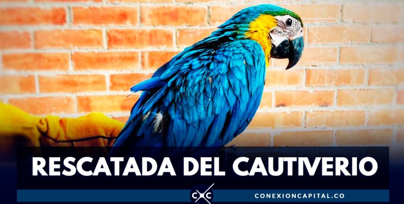 RESCATADA-DEL-CAUTIVERIO RESCATADA-DEL-CAUTIVERIO