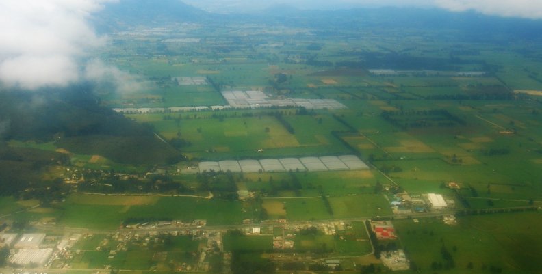 SABANA