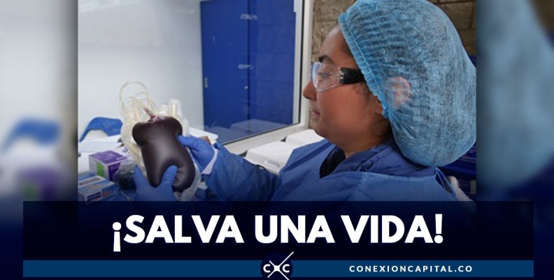 salva-una-vida salva-una-vida