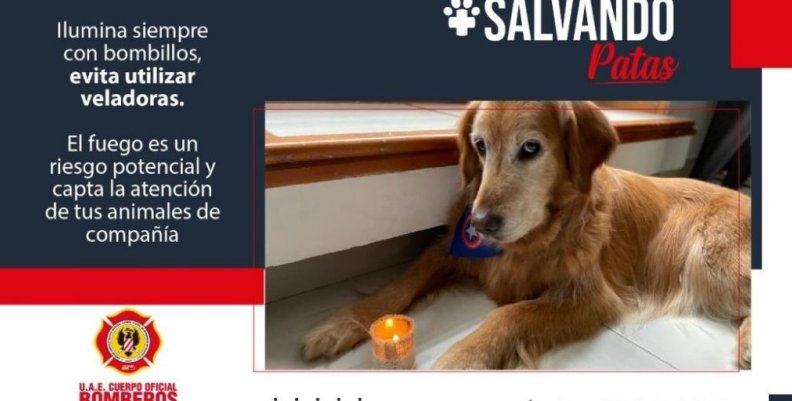 salvando animales stiker