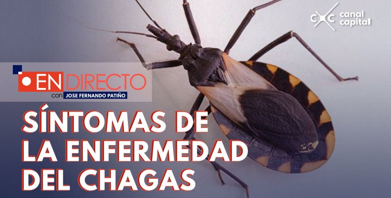 ¿Qué es la enfermedad de Chagas? ¿Qué es la enfermedad de Chagas?