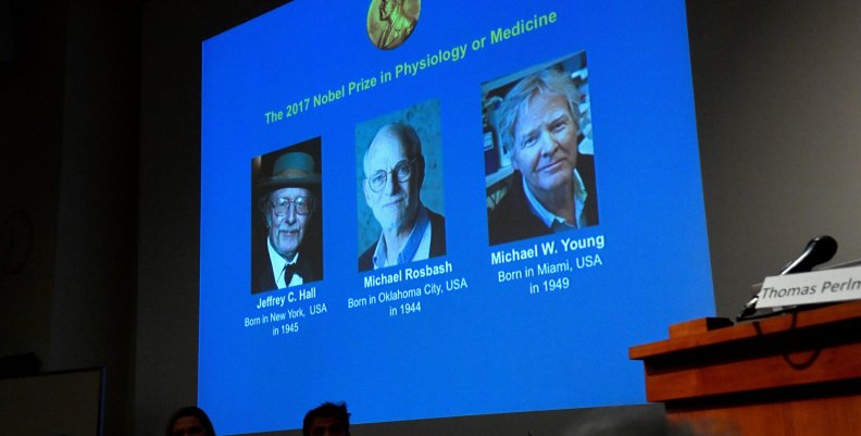 The names of Jeffrey C. Hall, Michael Rosbash and Michael W. Young are displayed during a news conference to announce the winner of the Nobel Prize in Physiology or Medicine 2017, in Stockholm The names of Jeffrey C. Hall, Michael Rosbash and Michael W. Young are displayed during a news conference to announce the winner of the Nobel Prize in Physiology or Medicine 2017, in Stockholm