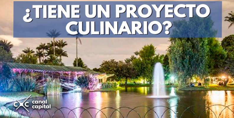 ¿TIENE-UN-PROYECTO-CULINARIO-