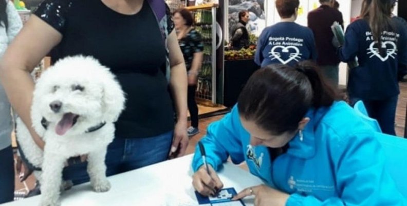 Vacunación perros y gatos contra la rabia. Vacunación perros y gatos contra la rabia.