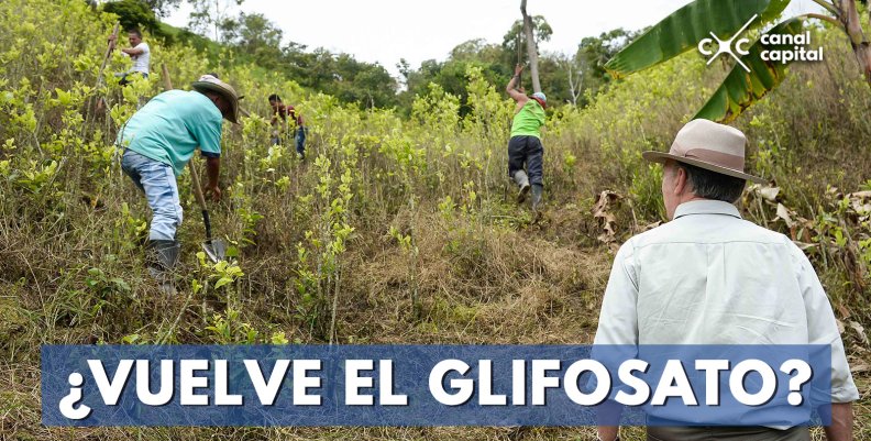 ¿VUELVE-EL-GLIFOSATO- ¿VUELVE-EL-GLIFOSATO-