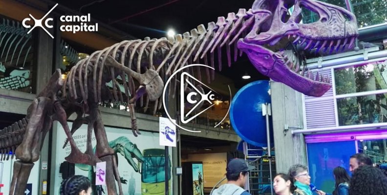 tiranosaurio tiranosaurio