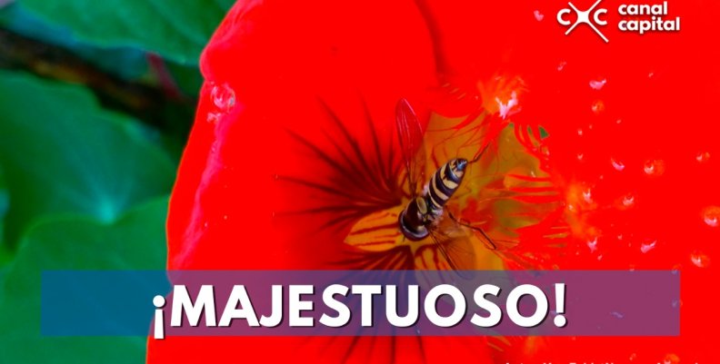 concurso concurso