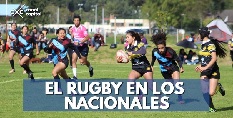 rugby rugby