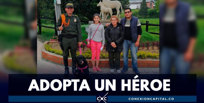 adopte-heroe-canino adopte-heroe-canino