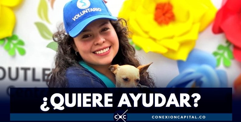 convocatoria-ayudar-animales convocatoria-ayudar-animales