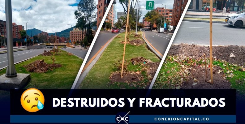 arboles-vandalizados-autopista-norte arboles-vandalizados-autopista-norte