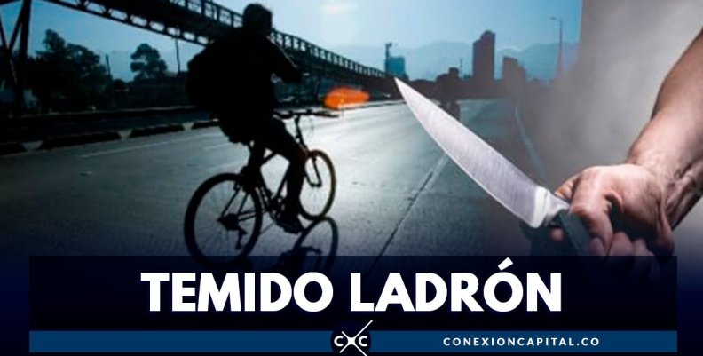 cae-ladron-bicicletas cae-ladron-bicicletas